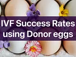 IVF Success rates using Donor Eggs