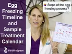 Steps of the Egg Freezing Process and Timeline