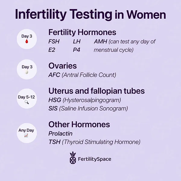 There are several different blood tests and exams done to evaluate women for infertility. Fertility hormones need to be tested around Day 3 of the menstrual cycle when hormone levels are lowest in order to get a baseline.
