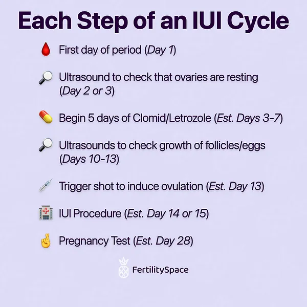 An IUI cycle can be broken down into a few simple steps, which take place over a typical menstrual cycle. Clomid or Letrozole are taken to grow follicles containing eggs, follicles are tracked via ultrasound, and a trigger shot induces ovulation which times the insemination process.