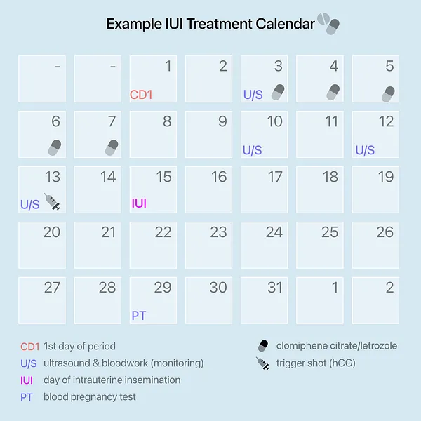 An example of the intrauterine insemination process when taking oral medications such a Clomid or Letrozole. Your clinic will provide you with a calendar for your instructions.
