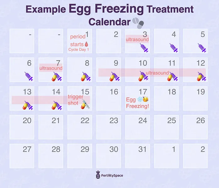 Here is an example egg freezing treatment calendar showing what happens each day and when injections typically start. Keep in mind that your calendar may look different depending on the medication protocol chosen for you and how your body responds!