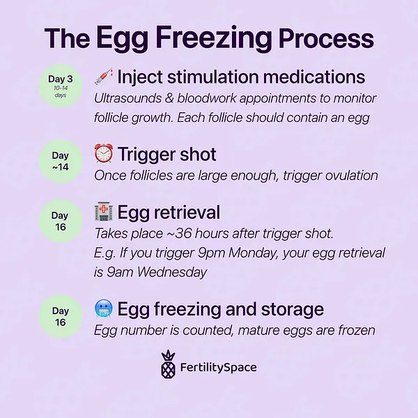 The egg freezing process takes about two weeks from start to finish.